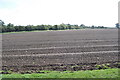 Finely Ploughed Fields in IP20 0PA