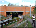 The Essex Way 65: Underpass in CM3 1RT