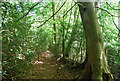 Footpath, Hindhead Common in GU27 1HQ