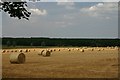 Harvesttime at West Stow in IP28 6UD