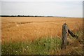 Farmland at Thorpe le Fallows in Thorpe in the Fallows