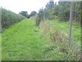 Footpath running beside forest boundary fence in HP17 8SX