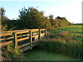 Footbridge over the Bowleaze Reen, near Whitson in NP18 2PG