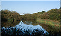 Park Pond Nature Reserve - Tondu in CF32 9HF