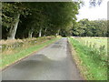 Minor road beside woodland near Denhead in AB53 4NQ