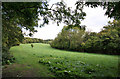 Wood and valley near Braziers End in HP5 2UR