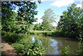River Wey from Wey South Path in GU2 4ER
