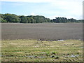 Farmland near Little Hilton in AB53 5PL