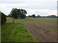 Footpath across fields south of Normanton on Trent in Normanton on Trent