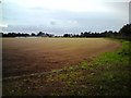 View across fields towards Sutton Hoo in IP12 2PF