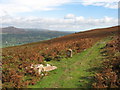 Footpaths on the Blorenge in NP7 9NY