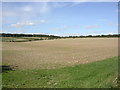 Cholderton, ploughed field in SP4 0EQ