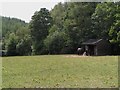 Horse Paddock near Sutherland Beck in YO18 8EU