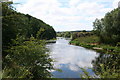 The River Wye  at Leabrink near Fownhope in HR1 4PJ
