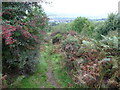 Footpath leading towards Little Hill, Llandrindod Wells in LD1 5NU
