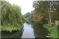 River Stour downstream from Ballingdon Street bridge in CO10 7PA