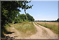 Footpath towards West Malling in ME19 5NX