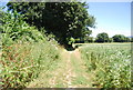 Footpath along the edge of an oil seed rape field in ME19 5NX