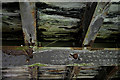 The underside of a disused railway bridge over the Gala Water in TD1 2RX
