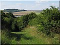 Byway with view to Roundway Hill in SN10 3LW