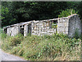 Disused Cottage near Ffrith in Llanfynydd Community