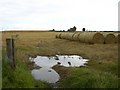 Stubble field near hill of Fearn in IV20 1TE