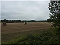 Hay bales in IP29 4PS