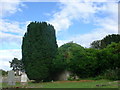 church at Urquhart old burial ground in IV7 8HU