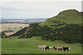 Skid Hill from Byres Hill in EH39 5BB