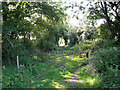Footpath north of Holy Trinity church, Blythburgh in IP19 9LL