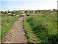 Footpath from saltmarsh to beach, Walberswick in IP18 6TG