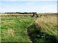 Path to the beach, Walberswick in IP18 6TG
