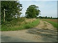 Bridleway by Chadacre Park in IP29 4HH