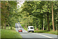 2010 : A346 heading north through Savernake Forest in SN8 4NE