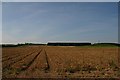 Field at Worlington in IP28 6BS