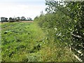 Field edge boundary near Gladsmuir in EH33 1EH