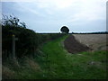 A footpath off the Old Main Road, Irby upon Humber in DN37 7LF