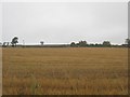 Stubble field at Fordel Mains in EH22 2PQ