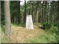 Trig Point on Gala Hill in TD1 3NP