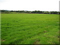 Farmland near Clehonger in HR2 9SW
