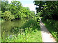 Looking E along canal path on southern side of canal in CT21 4PJ