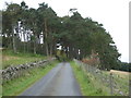 Minor road towards Boghead in AB54 7XA