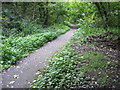 Footpath in New Hall Wood in S36 1LB