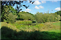 Pond near Beggars Bush in BN44 3AY