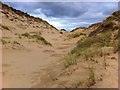 Sand Dune at Whiteford Burrows in SA3 1DL