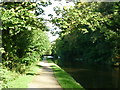 Walking along the Leeds to Liverpool Canal #230 in BD20 5QH