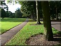 Tree lined path and road in Western Park in Western Ward