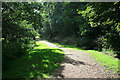 Path in the Millhams Mead Nature Reserve in BH11 9AP