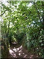 Footpath down to Mansands in TQ5 0HB