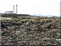 Port Seton Harbour from Wrecked Craigs in EH32 0DF